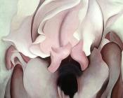 乔治亚 奥基夫 : Black Iris